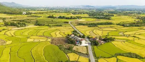 2026年国家地理标志保护示范区创建名单出炉，全国20个示范区入选