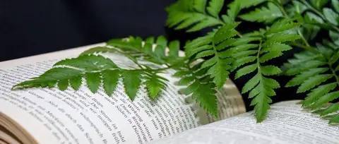 罗霞 陈科 | 《人民法院审理植物新品种案件技术事实查明工作指引》的理解与适用